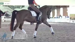Riding the Serpentine
