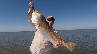 Big Louisiana Bull Red