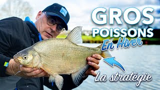 GROS POISSONS EN HIVER - LA STRATÉGIE GAGNANTE
