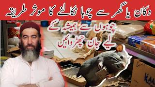 Stop Rats from Destroying Your Karyana Store and house | Effective Tips