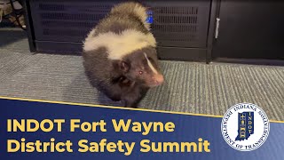 Buckle Up Phone Down with Nugget the Skunk