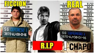 Fact vs. Fiction (Who's Who) EL CHAPO Series and Trivia