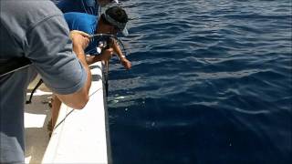 Aug 6, 2011 Intersection Rigs Trip