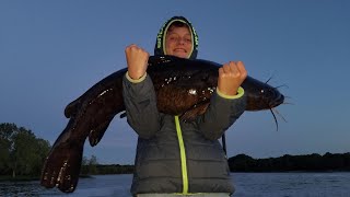 Nolan's Flathead 2021 - Nolan Gets Fish Slapped!