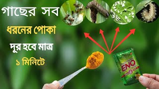 সম্পূর্ণ ঘরোয়া পদ্ধতিতে | গাছের সব ধরনের পোকা দূর হবে মাত্র ১ মিনিটের কাজে|Unknown Uses of Turmeric