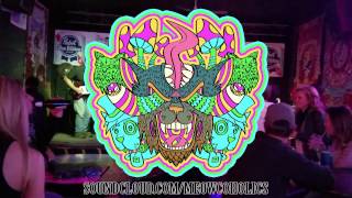 WHIRLWIND - Meowcoholics LIVE at Otis' Tailgaters 11/18/ 16
