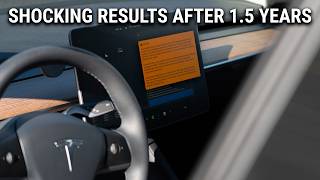 The BYD Blade Battery Model Y Has Insane Battery Degradation Results