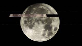 Forbidden Land ‐ Conticinium (Official Video) -