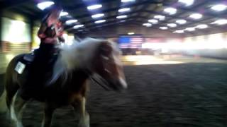 Arenso L2 Horsemanship WRAN-C Oosterwolde 28 februari 2016