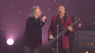 Pooh - Cercando Di Te (Live Bologna Ultimo abbraccio - Full HD)