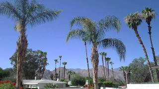 Hey Nada - Morning in Palm Desert
