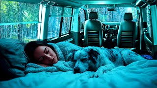 Sleep Therapy with Real Rain Sounds 🌙 Deep Relaxation & Stress Relief Ambience, Natural Sounds