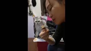 kumpulan vidio lucu pendek viral tik tok #fypvidio