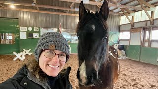 Meet The Horses - Part 4, Sprocket