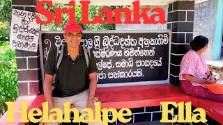 Sri Lanka Helahalpe Kumbalwela Ella Buddha Temple Authentic Food Lush Hills Nature Peacock Swimming