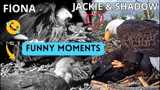 Fiona🐿️ Leaps on Jackie, Talon Massage For Shadow, Jackie Almost Incubates Shadow: Funny Moments🤣