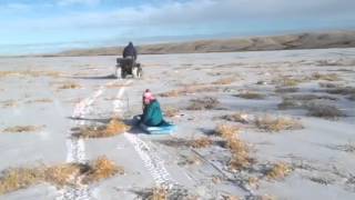 Sledding on Mondue slough