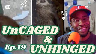 Kontent Kulture 19 | KJ Reacts to the Most Insane Moments | Bear Fights, Rat Saves, Dumbbell man