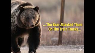 Scary Bear Attacks: This Grizzly Bear Hunted Saskia Roggezeen On The Train Tracks