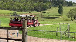 CamsleyHill City Farm  Tractor Train Ride