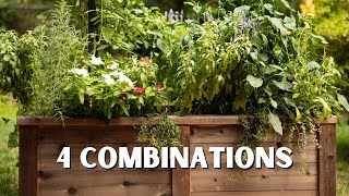 Summer Companion Planting Plans That Actually Work