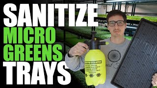 How To Clean / Sanitize Microgreens Trays (Fast & Simple)