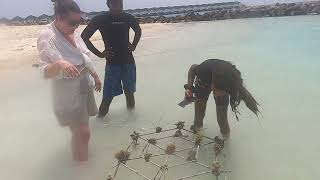 Coral Planting @ Siyam World - Maldives May 2022