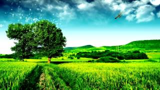Ken Waters - That Song By That Guy - Mr ByeByeCopyright (Promotion) HD