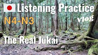 The Most Beautiful Forest in Japan | Japanese Learning Practice 