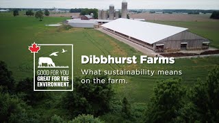 A first hand look at beef farming in Ontario - This Kinda Life(90-second)