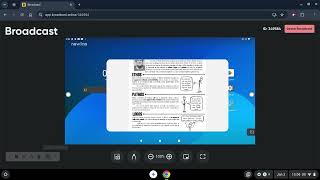 Newline Broadcast: Using Student Tools