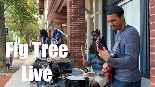 Live in Dover, DE (2021) - The Fig Tree