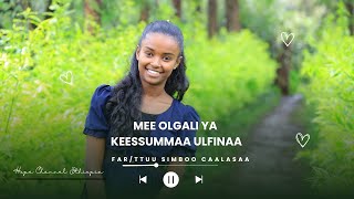 Mee olgali ya keessummaa ulfinaa