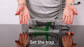 Human Mouse Trap 2021 New Style