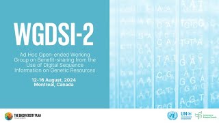 WGDSI-2:  DAY 1 - Plenary: Agenda items 1 and 2, Committee of the Whole agenda item 3