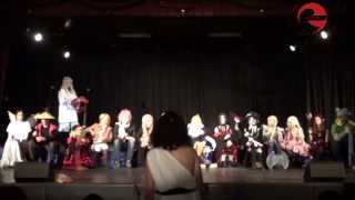 Aniplay 2014