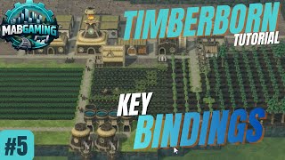 Droughts, Bad Tides & Key Bindings Explained | Folktails Tutorial Ep 5