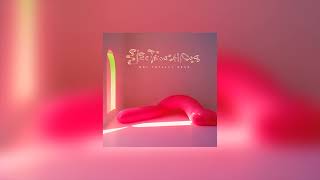 ELECTROCHICOS - Not Totally Dead (Full Album)