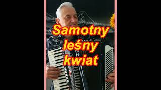Samotny leśny kwiat 🌹 BodzioGas ♥️ akordeon 🪗