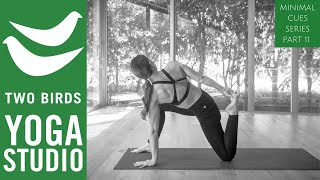 40 Minute Yoga Flow - Freedom for your Hamstrings and Spine (Minimal Cues Series Part 11)