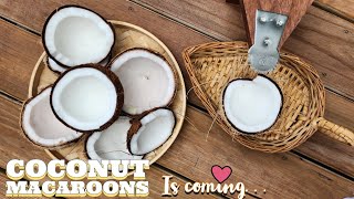 Coconut Macaroons Recipe is coming!