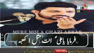 ۔۔۔نبیﷺ نے فرمایا 👈 یاعلی ؑ انت مثل الکعبہ 🕋کتنا بد بخت ہے وہ نمازی جس کی نماز میں کعبہ نہیں