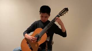 Concerto in D Major BWV 972: I. Allegro by J.S. Bach