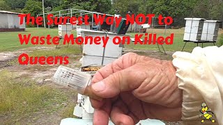 Surest Way - no waste Money on Killed Queens #TEKre-editedspecials
