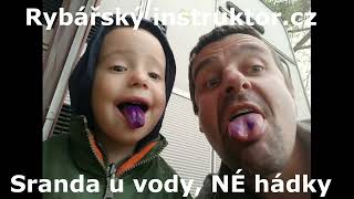 Kapři a vábnička