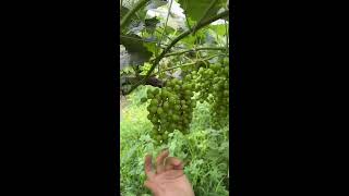 Rakesh Kumar Live Stream