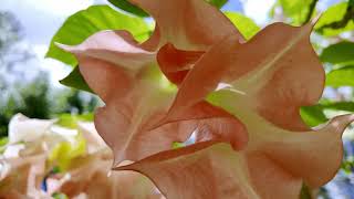 DJI Pocket 3 1st try