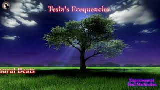 369Hz Tesla's Ambient ♾️ Music to tune in with the Universe