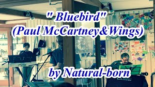 「Bluebird／Paul McCartney&Wings」(by Natural-born)