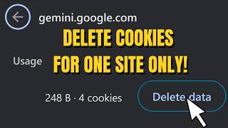How to Delete "Usage" Data & Cookies for a Specific Site in Chrome